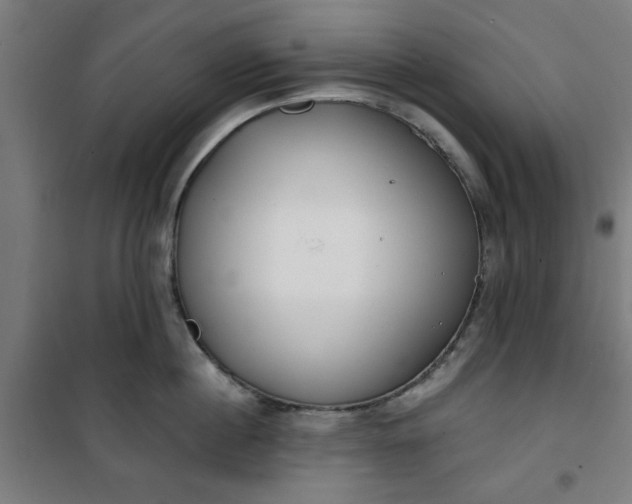 X0000100750860200807031334