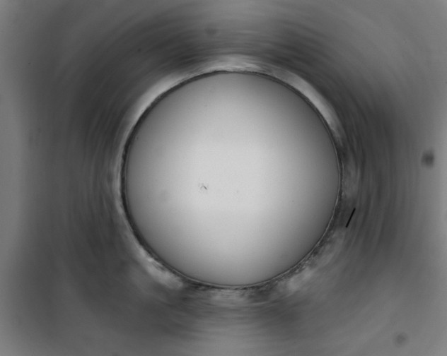 X0000100750861200807031334