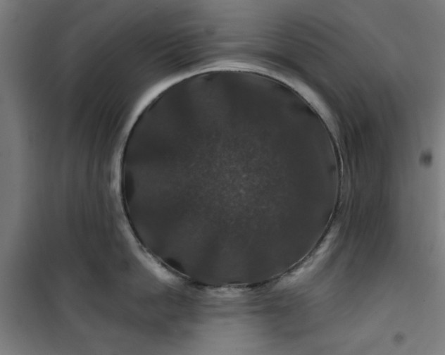 X0000100750862200807031334