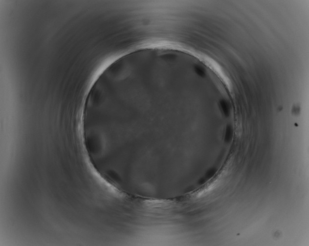 X0000100750863200807031334