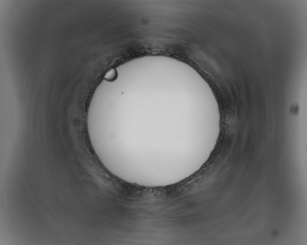 X0000100750865200807031333