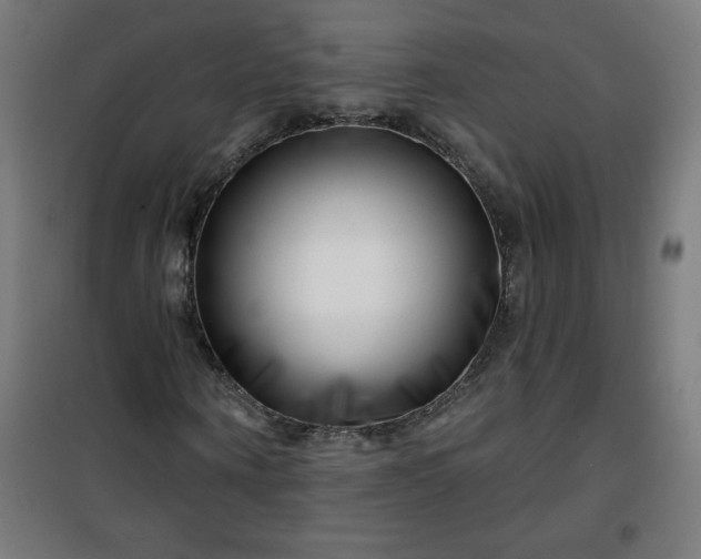 X0000100750866200807031333