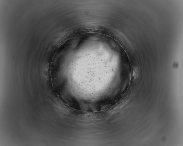 X0000100750867200807031333