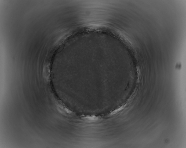 X0000100750868200807031333