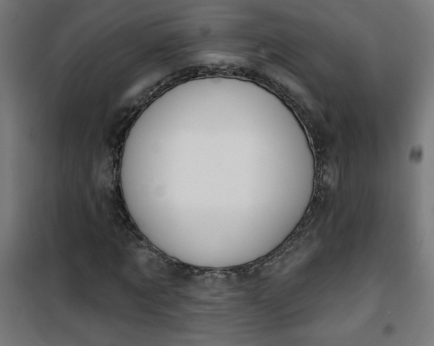 X0000100750869200807031333