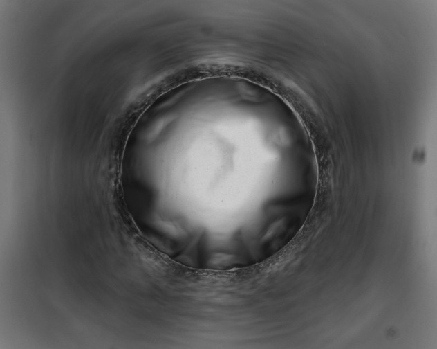 X0000100750870200807031333