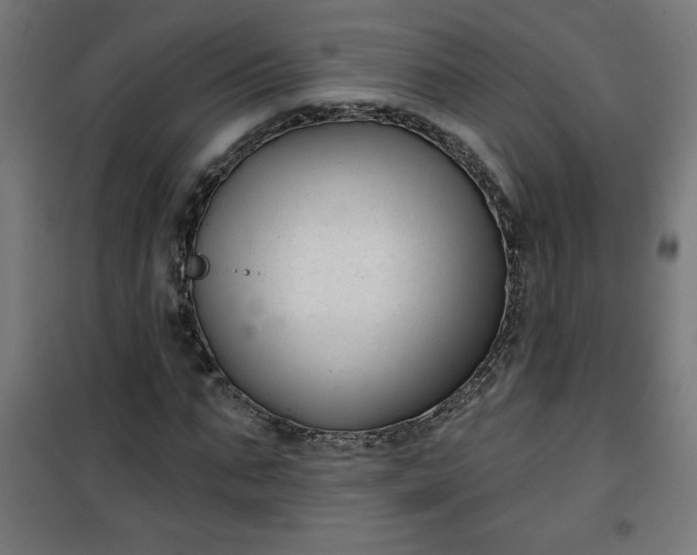 X0000100750871200807031333