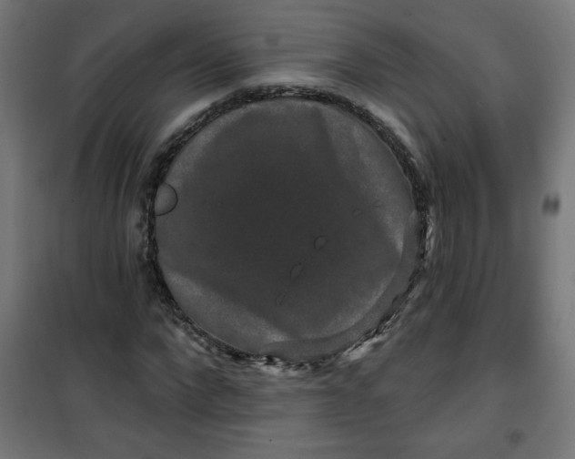 X0000100750872200807031333