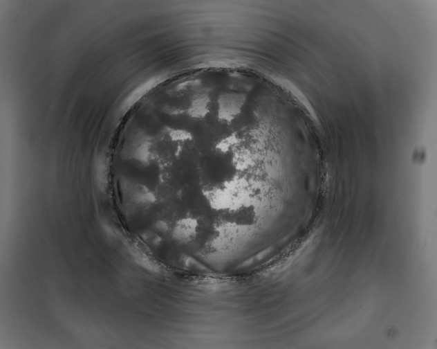 X0000100750874200807031333