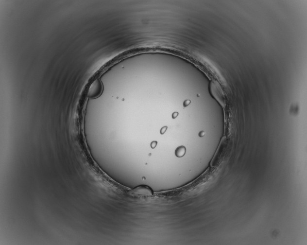 X0000100750876200807031333