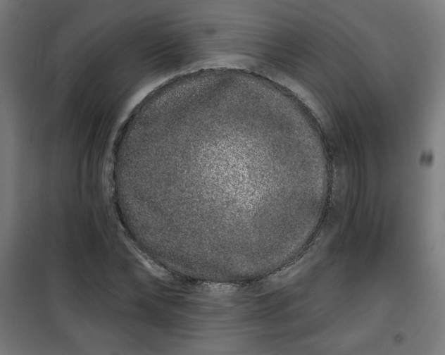 X0000100750878200807031333