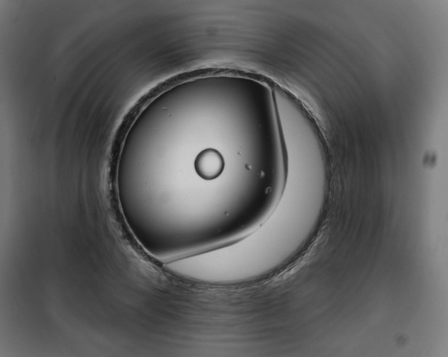 X0000100750880200807031333