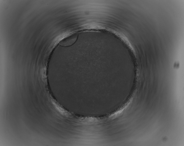 X0000100750881200807031333