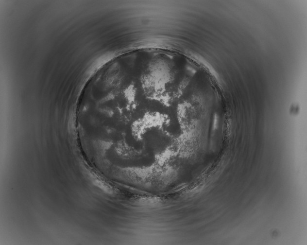 X0000100750882200807031333