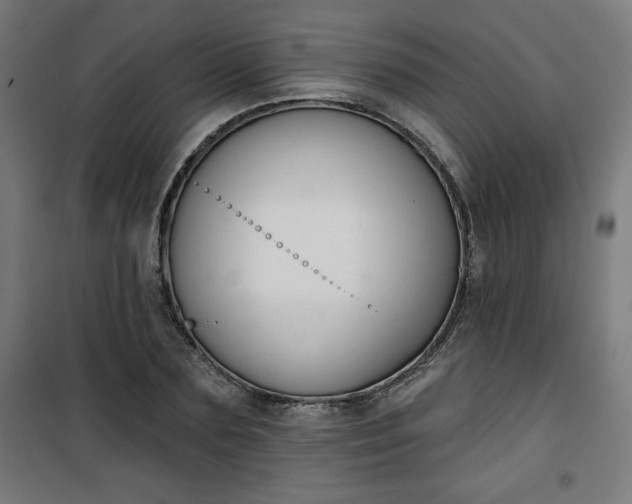 X0000100750883200807031333