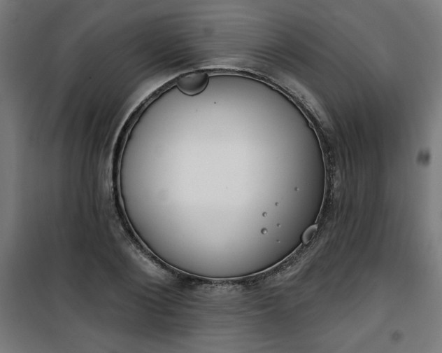 X0000100750884200807031333