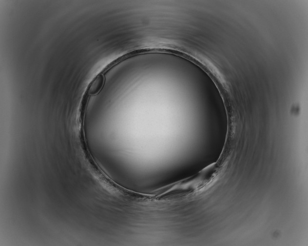 X0000100750885200807031333