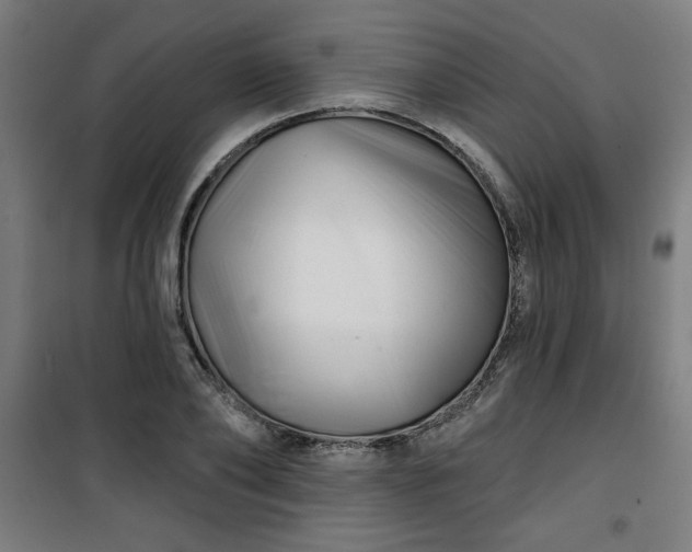 X0000100750886200807031333