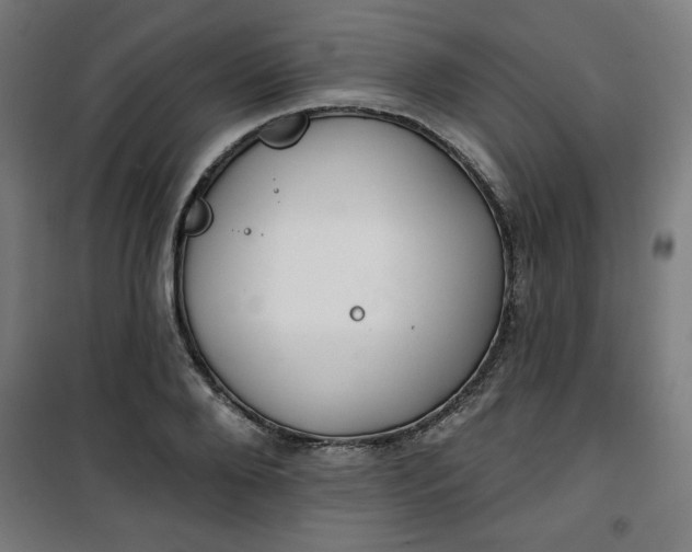 X0000100750888200807031333