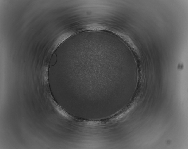 X0000100750889200807031333