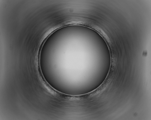 X0000100750890200807031333