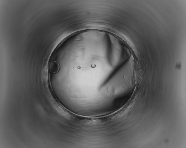 X0000100750891200807031333