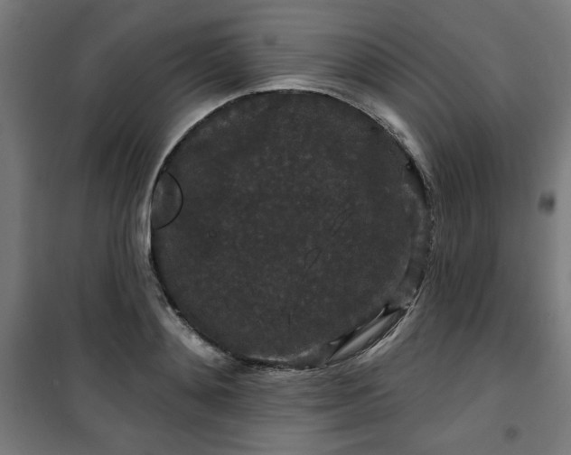 X0000100750892200807031333