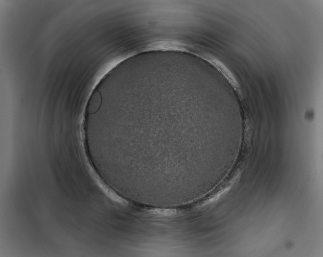 X0000100750893200807031333