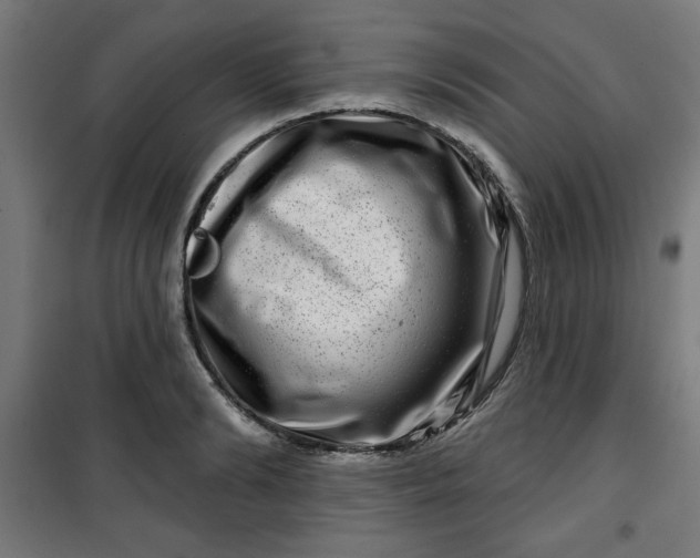 X0000100750894200807031333