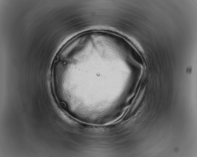 X0000100750895200807031333