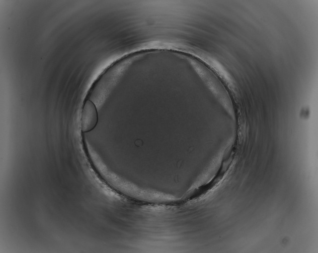 X0000100750896200807031333