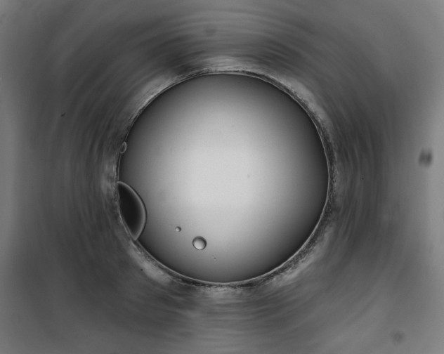 X0000100750897200807031333