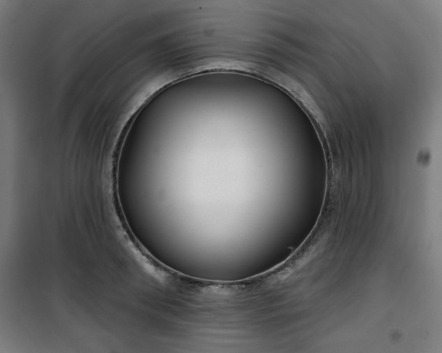 X0000100750898200807031333