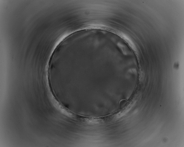 X0000100750899200807031333