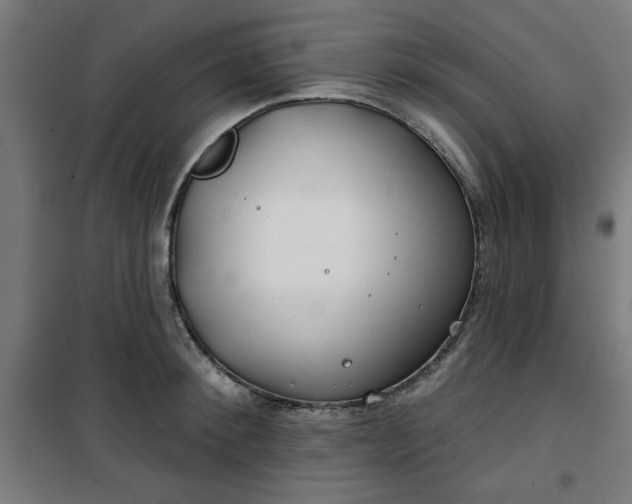 X0000100750900200807031333