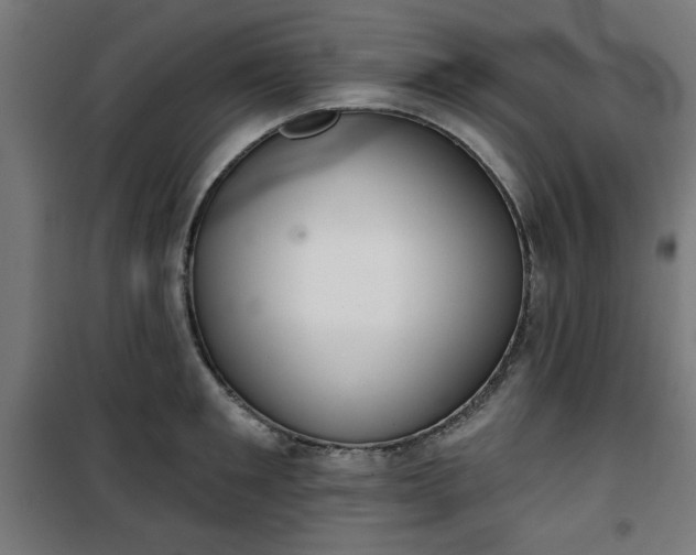 X0000100750901200807031333