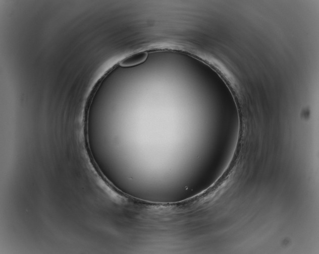 X0000100750902200807031333