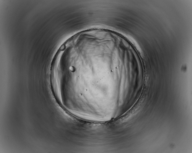 X0000100750903200807031333