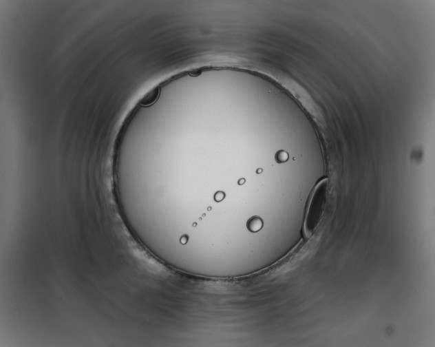 X0000100750904200807031333