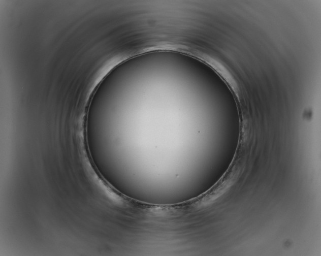 X0000100750906200807031333