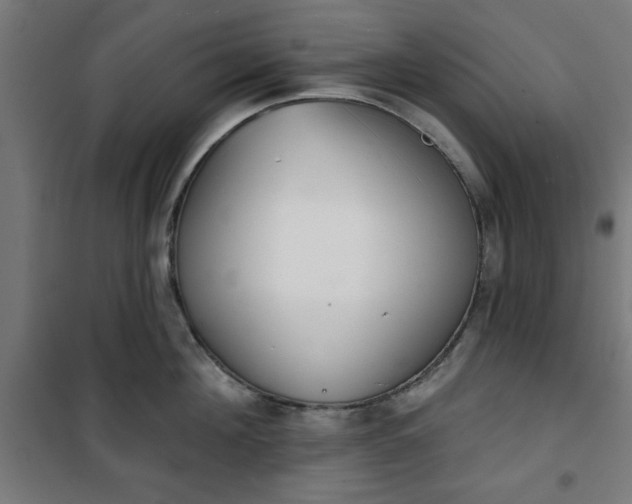 X0000100750908200807031333