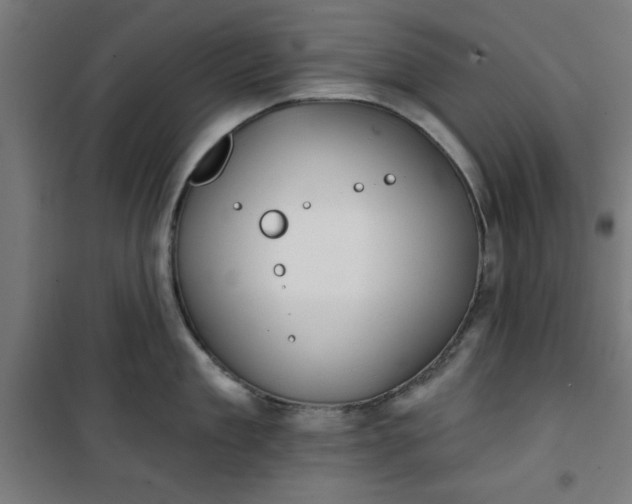 X0000100750909200807031333