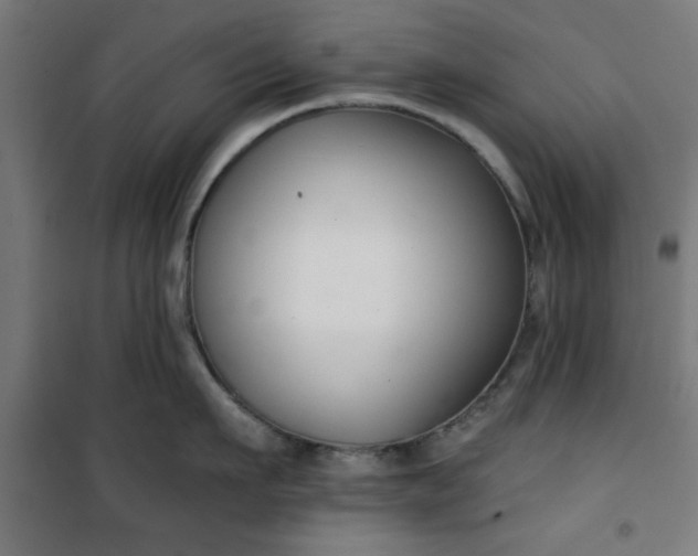 X0000100750911200807031333