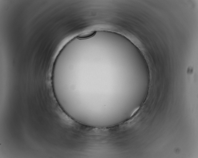 X0000100750912200807031333