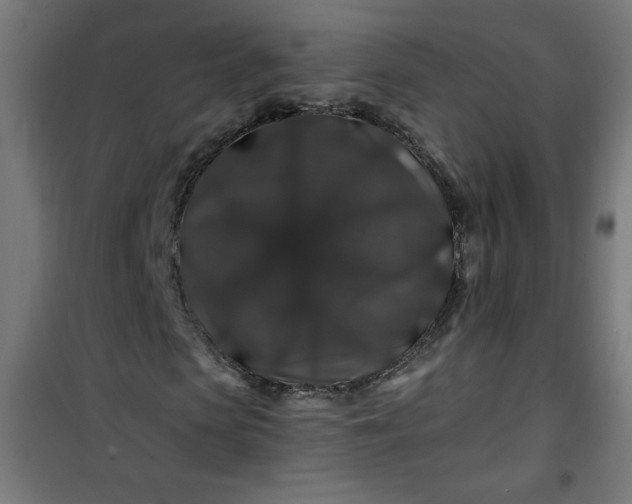 X0000100750913200807031332