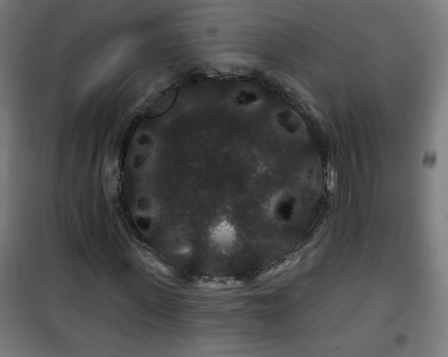 X0000100750915200807031332