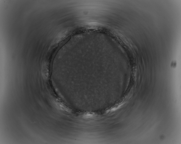 X0000100750916200807031332