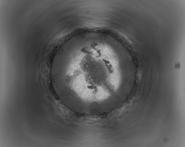 X0000100750917200807031332