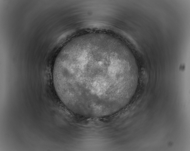 X0000100750918200807031332