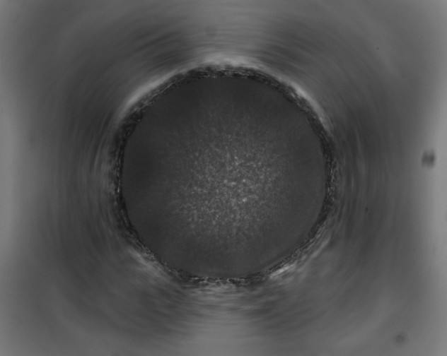 X0000100750919200807031332